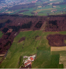 Home Page Image