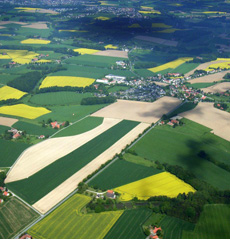 Home Page Image