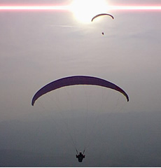 Home Page Image