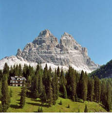 Home Page Image