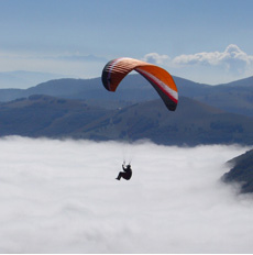 Home Page Image