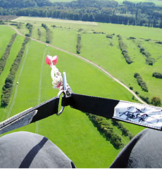 Home Page Image